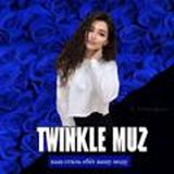 ᴛᴡɪɴᴋʟᴇ • ᴍᴜᴢ