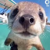 Deoki66 - жизнь киберспортсмена