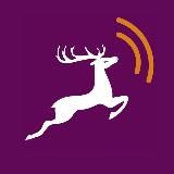 Говорит Нижний