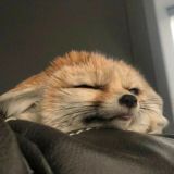 Продажа аккаунтов