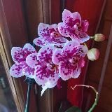 Всего по немного 🌿🥘🔮