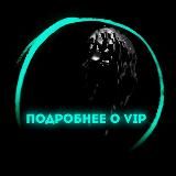 ПОДРОБНЕЕ О VIP | SUPER EXAM
