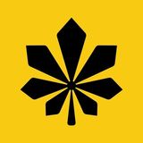 Де у Києві | Chat