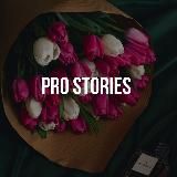 Pro STORIES