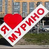 Мурино, Девяткино, Бугры