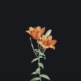 🍂 Outcast | Вывод средств