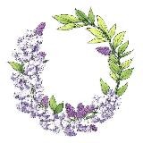 На Сиреневом Бульваре