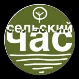 Сельский час - чат
