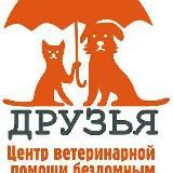 канал Друзья ветеринарный госпиталь Воронеж