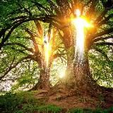 Ullis Gesundheits Einblick 🧘♀️💞🥦🍋🧄