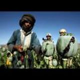 🟢🅿🅰🅿🆂 999🟣🄺🄰🄽🄰🄻🟤