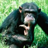 L'unica fede che resta è il pensiero libero! 🧠