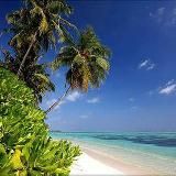 Природа вокруг!