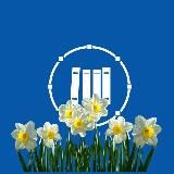 Библиотеки Салехарда