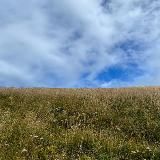 Кладовая природы