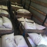 Обсуждение