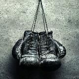Boxing The Best