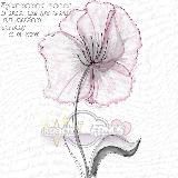 🍥 GACHA FRIENDSHIP || Гача знакомства 🌸 ГАЧА ИЩУ ДРУЗЕЙ ПАРУ 🤍