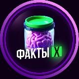 Факты Х