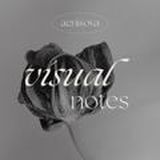 visual notes • aenisova