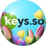 Keys.so – анализ конкурентов в SEO и PPC