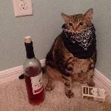 ezkizzz - эскизы татуировок