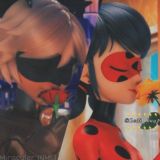 🥀ʟᴀᴅʏ ʙᴜɢ ᴀɴᴅ ᴄʜᴀᴛ ɴᴏɪʀ🐾