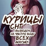КУРИЦЫ СНГ