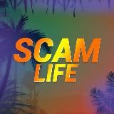 🌴SCAM LIFE🔥