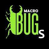 Макро-эстетика