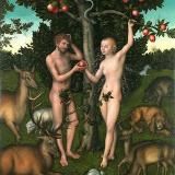 Наука пятого размера