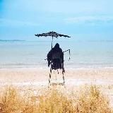 Гроб на колесиках 🇺🇦