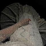 𝓢𝓪𝓽𝓲𝔂𝓼𝓪𝓶❤️🩹