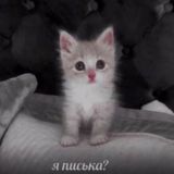 робат