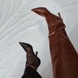 Дикий Инспирейшн