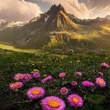 - Время новостей -