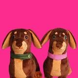 ЧАПИТОСИКИ❤️🐶