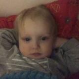 Рецепт домашнего холодца