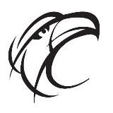 Не выпускай котов!