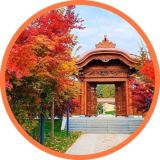 Японский сад | Парк Галицкого | Краснодар | чат