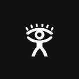 Оптический стилист