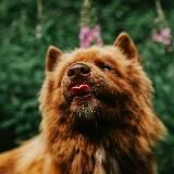 ༎ຶ ‧º·˚.𝕭𝖊𝖆𝖛𝖊𝖗 𝖘𝖔𝖚𝖕‧º·˚. ༎ຶ