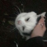 парк имени наркоманов