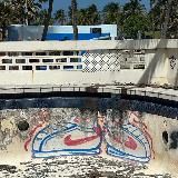 ON THE RISE🧛♂️🧟♂️🧞♂️📈