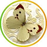 🦋Одежда из Турции Капустник Бутик🦋
