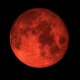 ʙᴀʙʏᴡᴏʀʟᴅ.