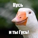 Мой Арзамас