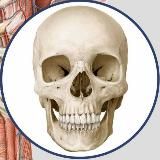 Фитнесс. Книги PDF