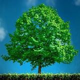 Motivator | Мотивирующие цитаты