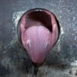 Whаt's up haters глава 2